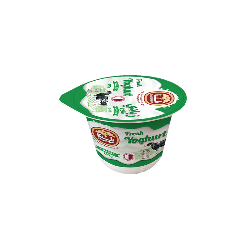 YOGURT 170G FULONG LIFE FAT BALADNA