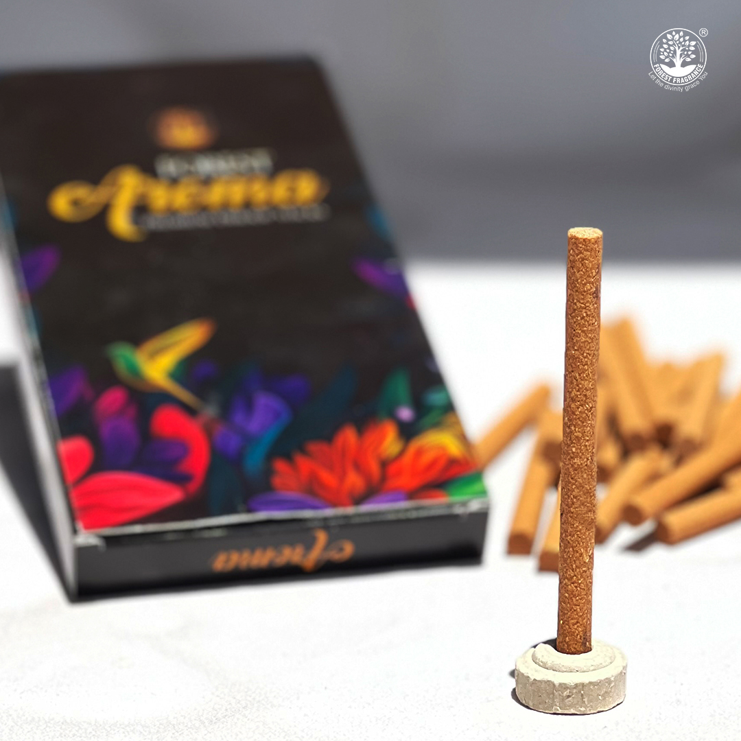 DHOOP STICKS FF AROMA 10 STICKS 30GM
